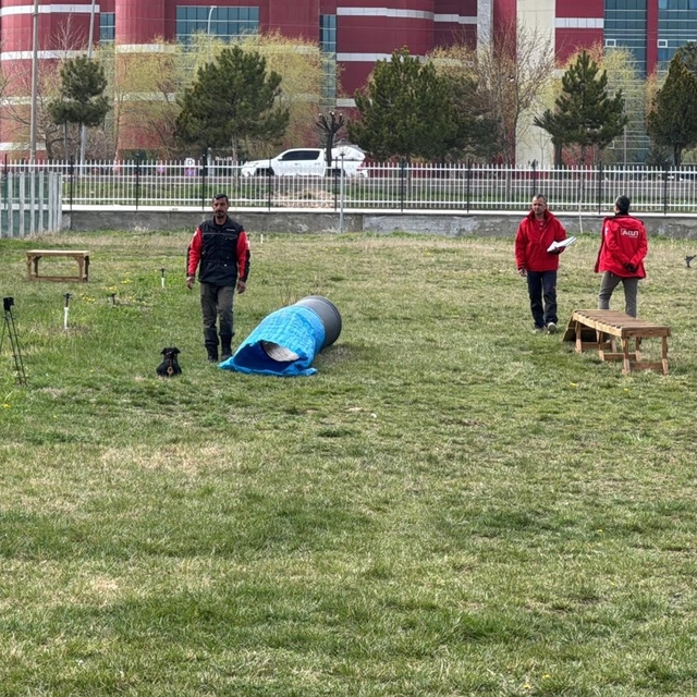 Uluslararası düzeyde alan ve enkaz arama köpekleri sınavı Afyonkarahisar'da...