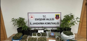 Ormanda uyuşturucu ticaretine jandarma engeli: 1 tutuklama