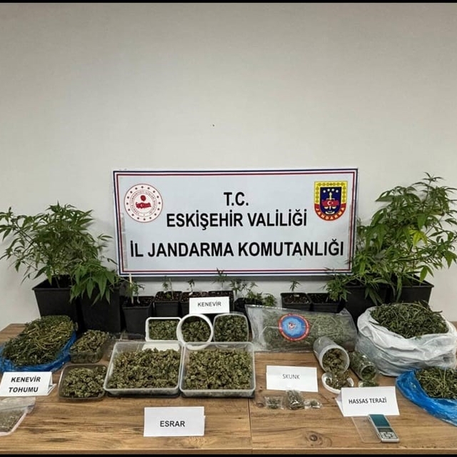 Ormanda uyuşturucu ticaretine jandarma engeli: 1 tutuklama