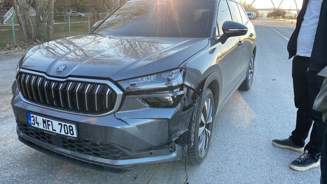 Muş'ta yolun karşısına geçen köpeğe otomobil çarptı