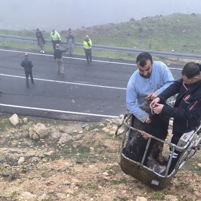 Mardin'de çamura saplanan 2 keçiyi itfaiye kurtardı