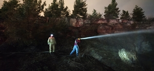 Karabük'te ormanda çıkan örtü yangınında 1 dekarlık alan zarar gördü