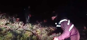 Marmaris’te şiddetli fırtına etkili oluyor