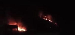 Ormanda çıkan örtü yangını söndürüldü