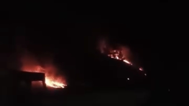 Ormanda çıkan örtü yangını söndürüldü