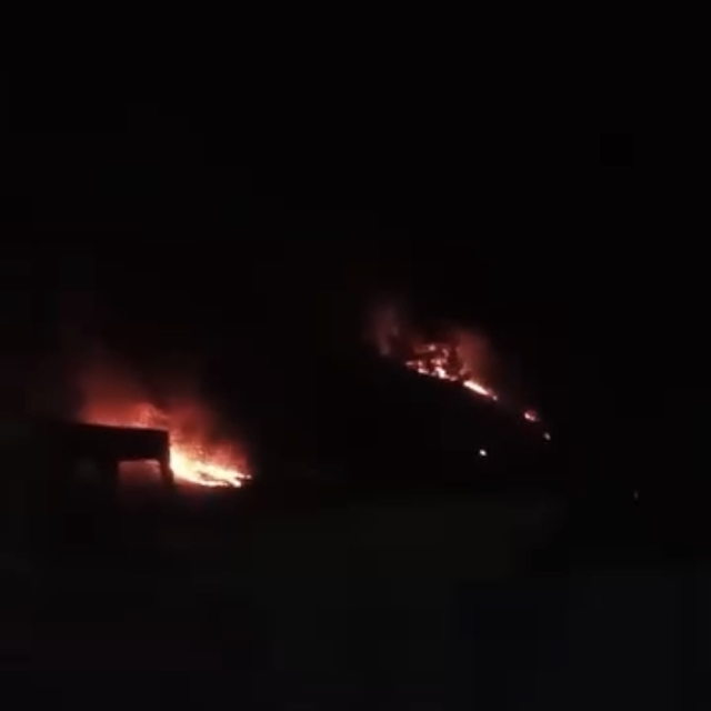 Ormanda çıkan örtü yangını söndürüldü