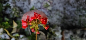 Denizli’de baharda yağan lapa lapa kar araçları yolda bıraktı Birçok ilçeyi kaplayan beyaz örtünün tadını çocuklar çıkardı