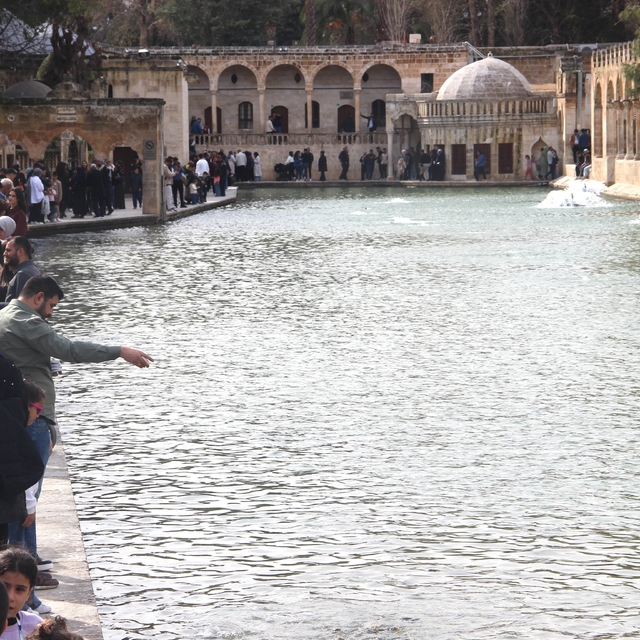 Güneş yüzünü gösterdi: Balıklıgöl'e ziyaretçi akını
Selin vurduğu Balıklıgö...