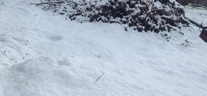 Çameli’nde kar kalınlığı 20 santime yaklaştı