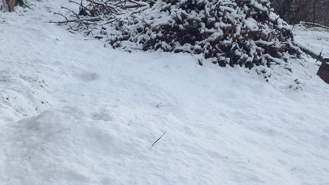 Çameli'nde kar kalınlığı 20 santime yaklaştı