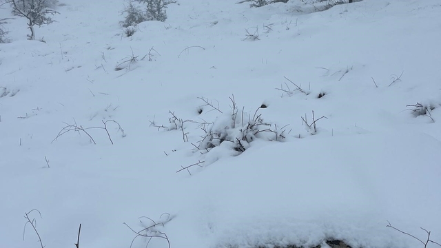 Mart sonunda Karıncalı Dağ'da kar sürprizi
Bozdoğan beyaza büründü