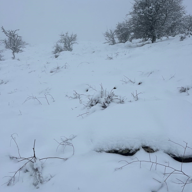 Mart sonunda Karıncalı Dağ'da kar sürprizi
Bozdoğan beyaza büründü