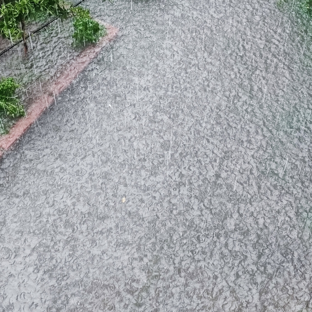 Adana'da yağmur sele neden oldu