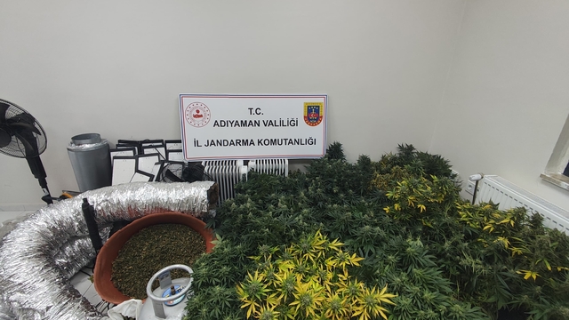 Jandarmadan uyuşturucu operasyonu: 1 gözaltı