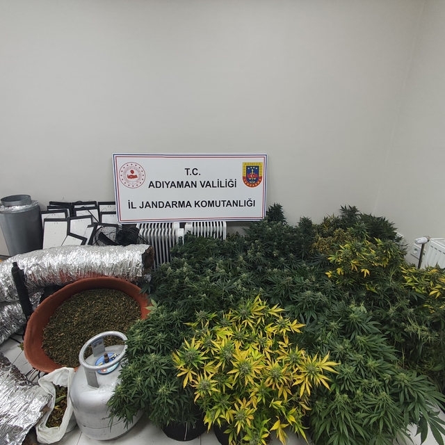 Jandarmadan uyuşturucu operasyonu: 1 gözaltı