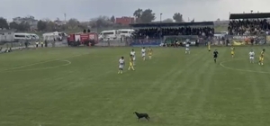 Osmaniye’de maça beklenmedik misafir