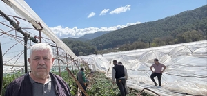 Kumluca’da hortum seraları vurdu, 10 dönüm alan zarar gördü