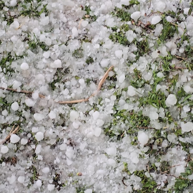 Niğde'de dolu yağışı etkili oldu