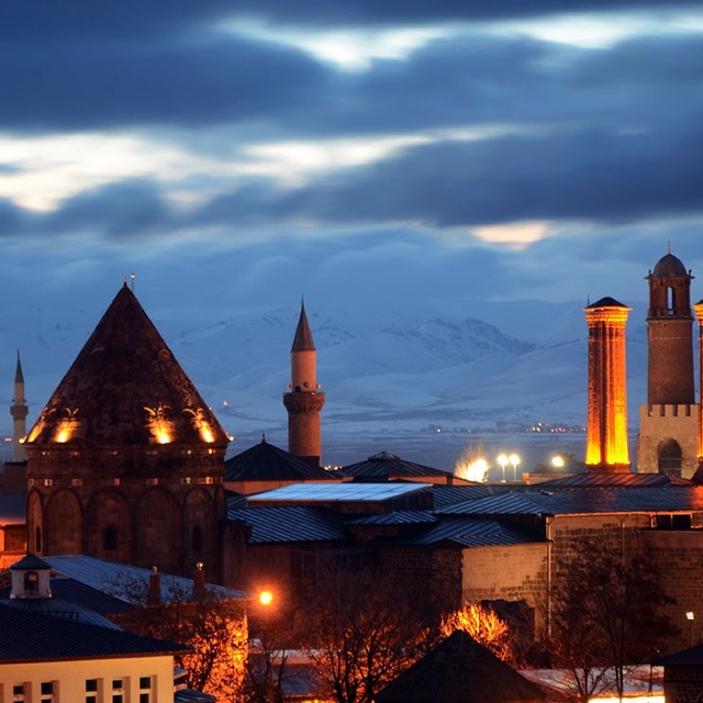 Karapapaklardan Erzurum üzerinden cepheye 650 deve