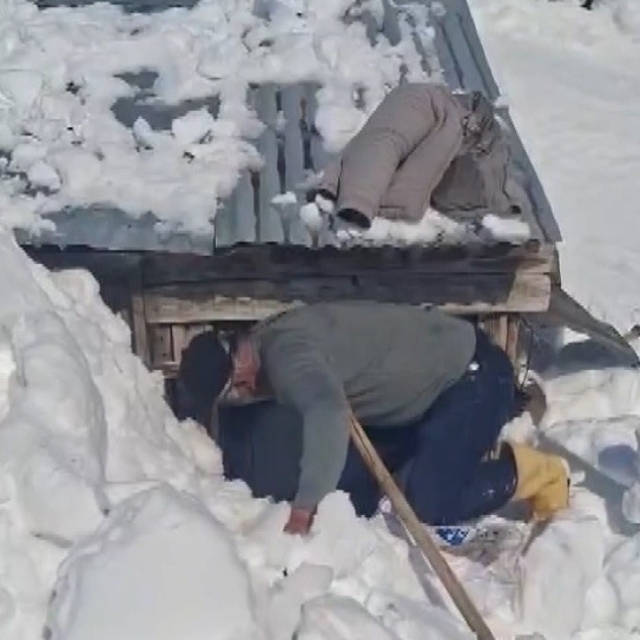 Bahar hazırlığı için gittikleri köyde metrelerce karla karşılaştılar