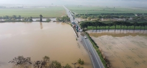 Büyük Menderes Nehri yine taştı, tarım arazileri su altında kaldı