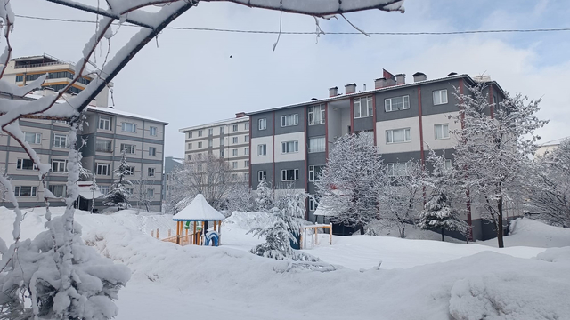 Bitlis'te kar yağışı