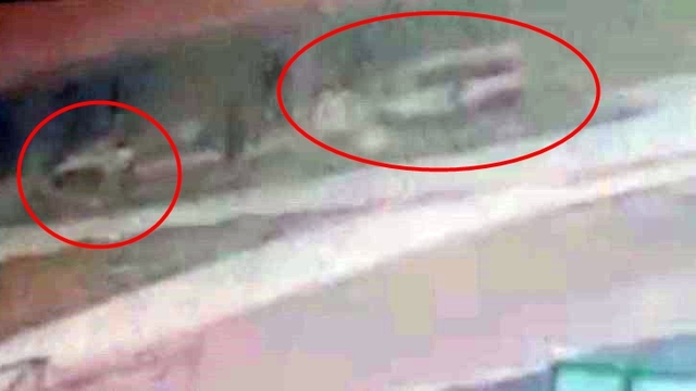 Öğrenci servis minibüsü ile otomobil çarpıştı: 13 yaralı (2)