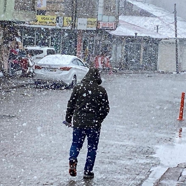 Karlıova'da kar etkili oldu