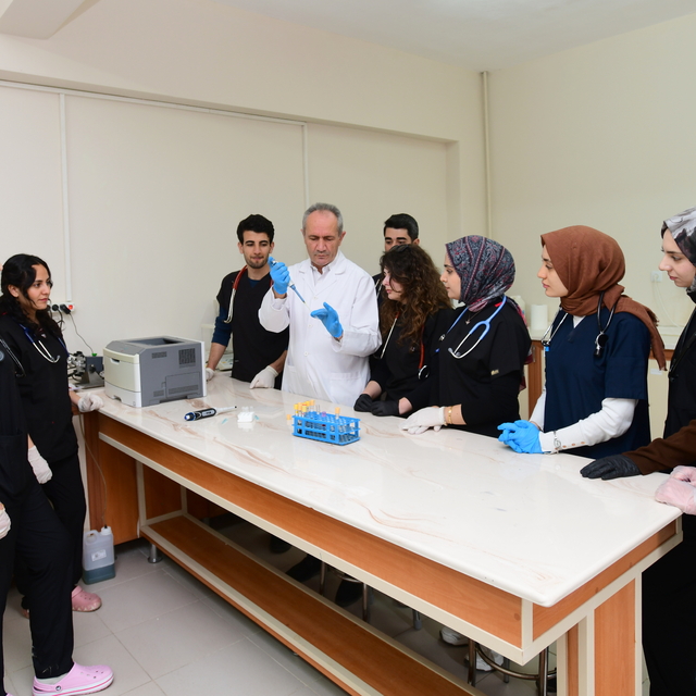 Van kedilerinde "B" kan grubunun daha baskın olduğu belirlendi