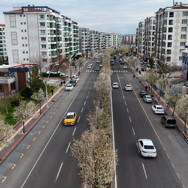 Bulvarlar süs armutlarıyla görsel şölene dönüştü