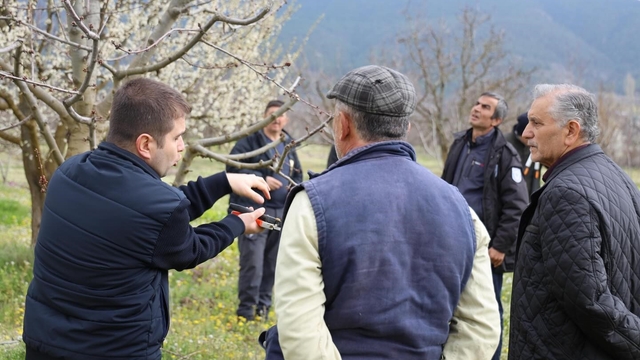 Bilecik'te üreticilere gübreleme ve budama kursu