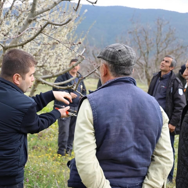 Bilecik'te üreticilere gübreleme ve budama kursu