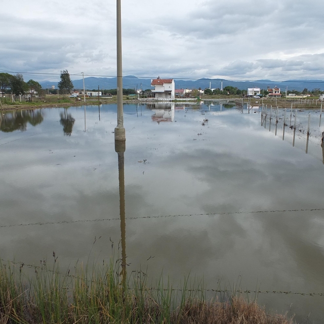 Burhaniye'de yazlıklar ve tarlalar su içinde kaldı