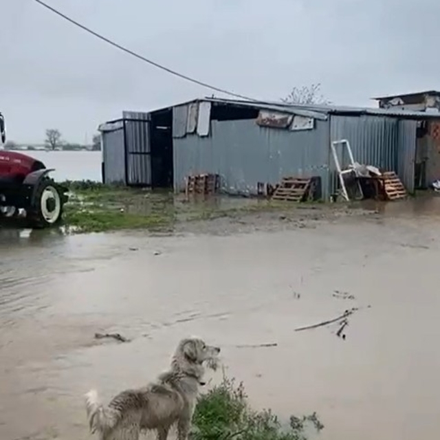 Bursa'da sağanak ve fırtına (4)