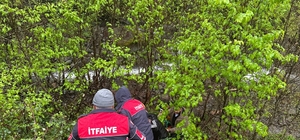 Artvin'de araç uçuruma yuvarlandı: 1 yaralı