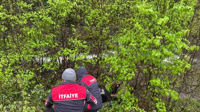 Artvin'de araç uçuruma yuvarlandı: 1 yaralı