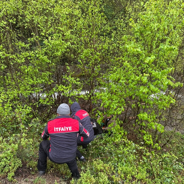 Artvin'de araç uçuruma yuvarlandı: 1 yaralı