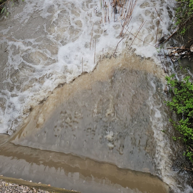 Bandırma kırsalında kuvvetli yağış hayatı olumsuz etkiledi
Bandırma'da metr...