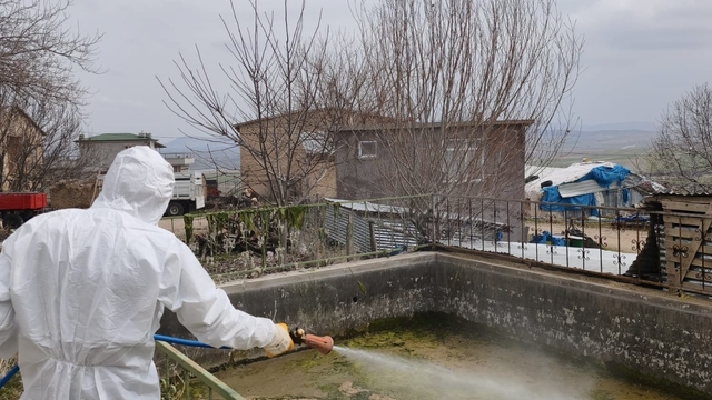 Elazığ'da larva ilaçlama çalışmaları başladı