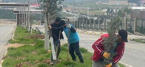 Batman'da ağaçlandırma çalışması yapıldı
