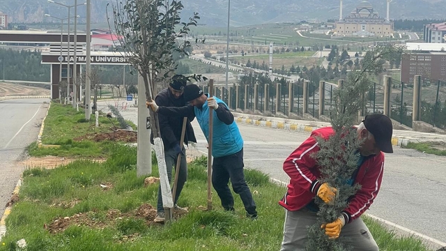 Batman'da ağaçlandırma çalışması yapıldı
