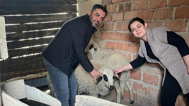 Hayvancılık desteği üreticileri sevindirdi