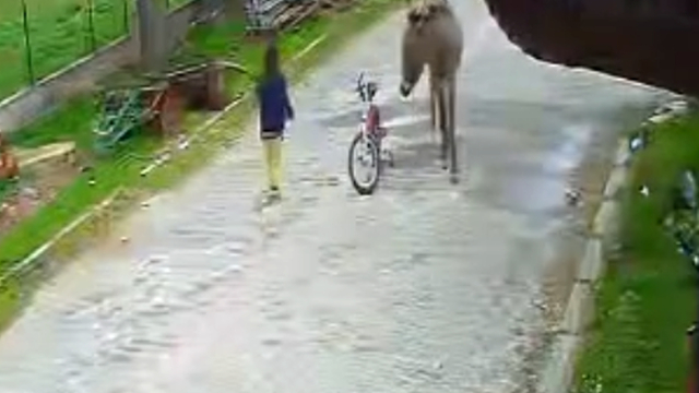 Evinin önünde oynayan çocuğa eşek saldırdı; o anlar kamerada