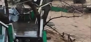 Yalova'da sağanak nedeniyle dereler taştı, 5 büyükbaş öldü