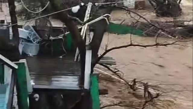 Yalova'da sağanak nedeniyle dereler taştı, 5 büyükbaş öldü