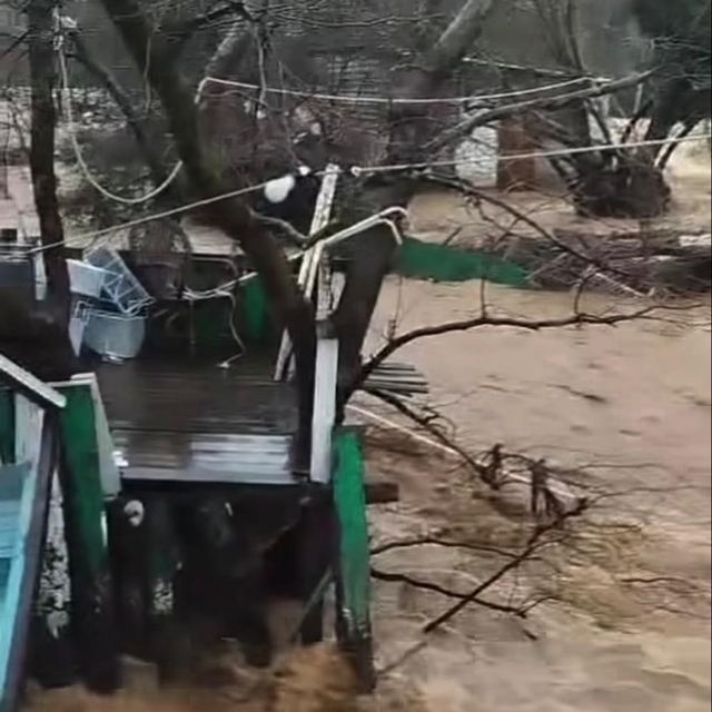 Yalova'da sağanak nedeniyle dereler taştı, 5 büyükbaş öldü