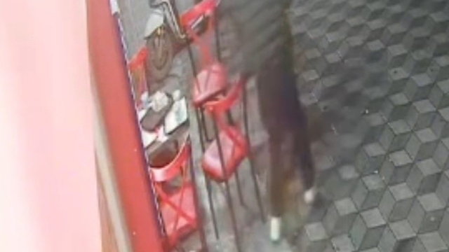 Yedikleri dürümlerin parasını ödemeden kaçan gençler kameraya yansıdı
İşletme çalışanı: "Biz ücret için yanlarına gelecektik ama onlar bizden önce davrandılar"