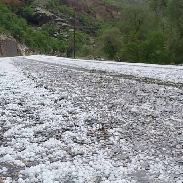Erzincan'da dolu yağışı etkili oldu