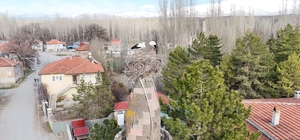 Şıhbarak mahallesinde baharın müjdecisi leylekler yuvalarına döndü