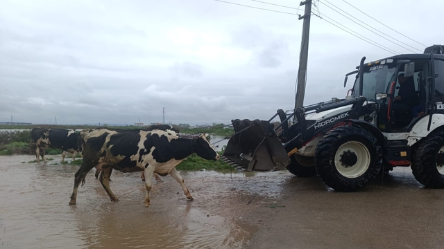 Bursa'da sağanak ve fırtına (9)
